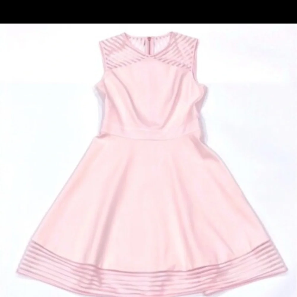 Ted Baker London Eleese Mesh Detail Skater Dress Light Pink – Size 1 (US 4) - Picture 6 of 9